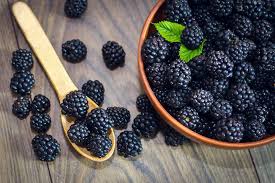 Just like when you were a kid, hand picked wild berries- while trying to avoid the thorns. Sweet, fruity, and makes your mouth water for that delicious taste again. This is a strong scent that is perfect for Summer.